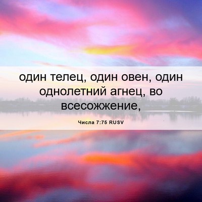 Picture 06 - Числа 7:75 RUSV - один телец, один овен, один - Bible Verse Picture