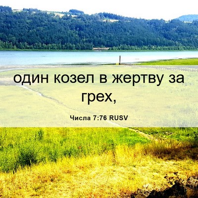 Picture 06 - Числа 7:76 RUSV - один козел в жертву за - Bible Verse Picture