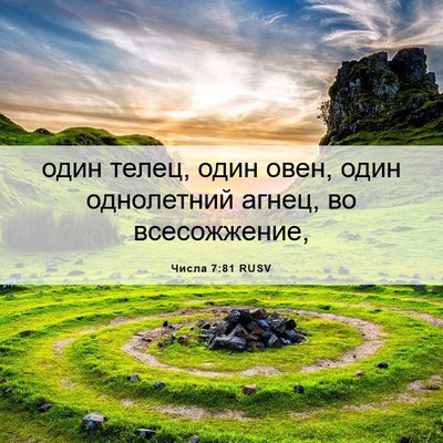 Picture 06 - Числа 7:81 RUSV - один телец, один овен, один - Bible Verse Picture