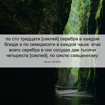 Picture 06 - Числа 7:85 RUSV - по сто тридцати [сиклей] - Bible Verse Picture