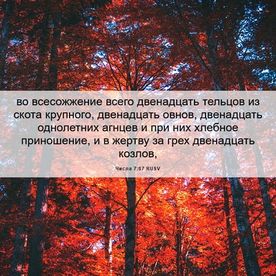 Picture 06 - Числа 7:87 RUSV - во всесожжение всего - Bible Verse Picture