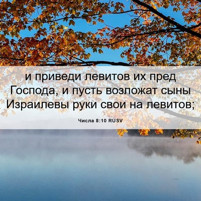 Picture 06 - Числа 8:10 RUSV - и приведи левитов их пред - Bible Verse Picture