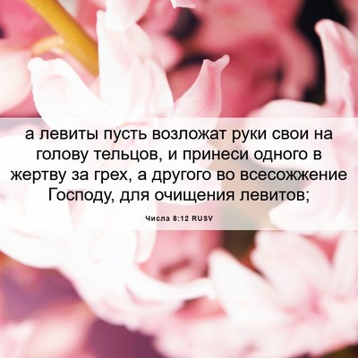 Picture 06 - Числа 8:12 RUSV - а левиты пусть возложат - Bible Verse Picture