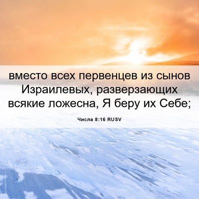 Picture 06 - Числа 8:16 RUSV - вместо всех первенцев из - Bible Verse Picture