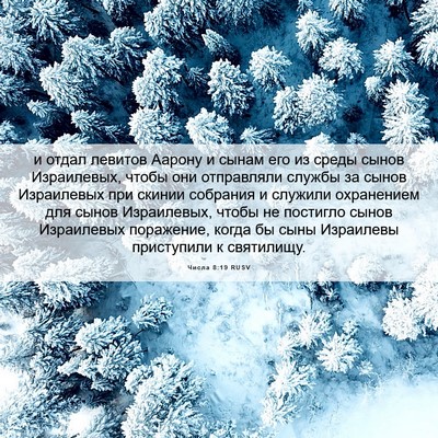 Picture 06 - Числа 8:19 RUSV - и отдал левитов Аарону и - Bible Verse Picture