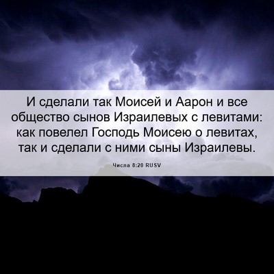 Picture 06 - Числа 8:20 RUSV - И сделали так Моисей и - Bible Verse Picture