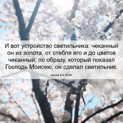 Picture 06 - Числа 8:4 RUSV - И вот устройство - Bible Verse Picture