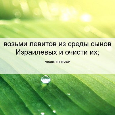 Picture 06 - Числа 8:6 RUSV - возьми левитов из среды - Bible Verse Picture