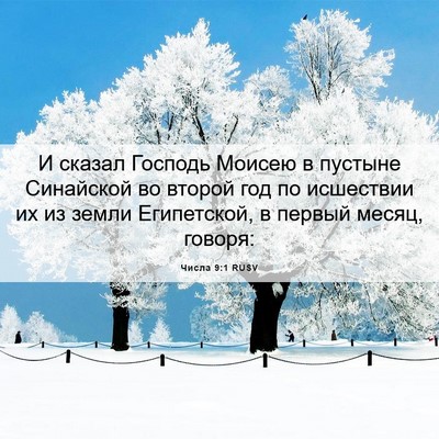 Picture 06 - Числа 9:1 RUSV - И сказал Господь Моисею в - Bible Verse Picture