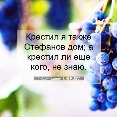 Picture 07 - 1 Коринфянам 1:16 RUSV - Крестил я также Стефанов - Bible Verse Picture