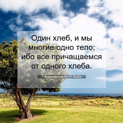 Picture 07 - 1 Коринфянам 10:17 RUSV - Один хлеб, и мы многие одно - Bible Verse Picture