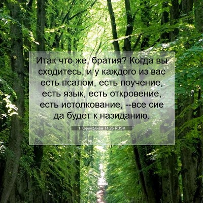 Picture 07 - 1 Коринфянам 14:26 RUSV - Итак что же, братия? Когда - Bible Verse Picture