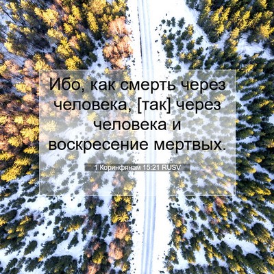 Picture 07 - 1 Коринфянам 15:21 RUSV - Ибо, как смерть через - Bible Verse Picture