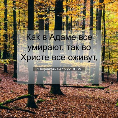 Picture 07 - 1 Коринфянам 15:22 RUSV - Как в Адаме все умирают, - Bible Verse Picture