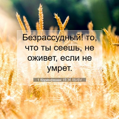 Picture 07 - 1 Коринфянам 15:36 RUSV - Безрассудный! то, что ты - Bible Verse Picture