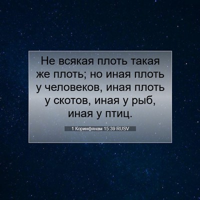 Picture 07 - 1 Коринфянам 15:39 RUSV - Не всякая плоть такая же - Bible Verse Picture
