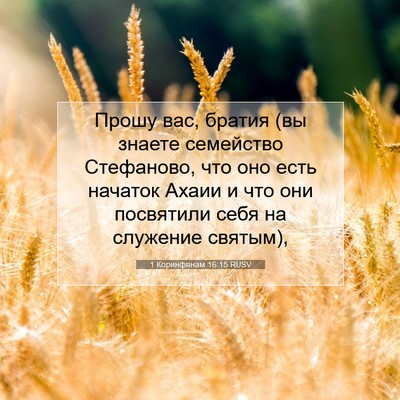 Picture 07 - 1 Коринфянам 16:15 RUSV - Прошу вас, братия (вы - Bible Verse Picture