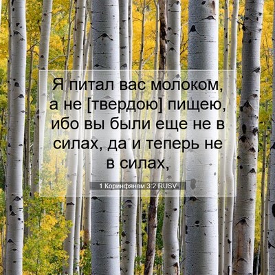 Picture 07 - 1 Коринфянам 3:2 RUSV - Я питал вас молоком, а не - Bible Verse Picture