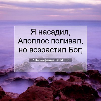 Picture 07 - 1 Коринфянам 3:6 RUSV - Я насадил, Аполлос поливал, - Bible Verse Picture