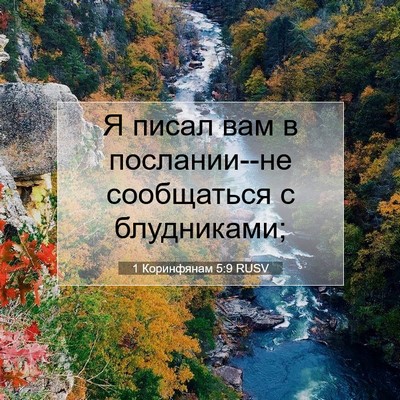 Picture 07 - 1 Коринфянам 5:9 RUSV - Я писал вам в послании--не - Bible Verse Picture