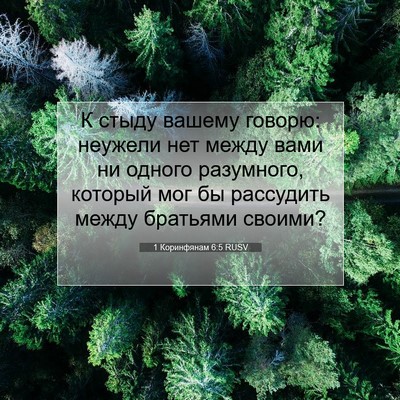 Picture 07 - 1 Коринфянам 6:5 RUSV - К стыду вашему говорю: - Bible Verse Picture