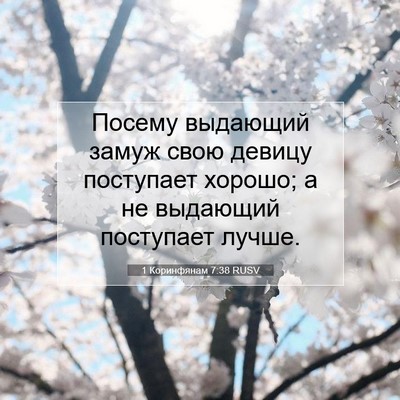 Picture 07 - 1 Коринфянам 7:38 RUSV - Посему выдающий замуж свою - Bible Verse Picture