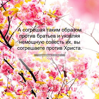 Picture 07 - 1 Коринфянам 8:12 RUSV - А согрешая таким образом - Bible Verse Picture