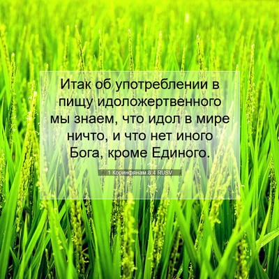 Picture 07 - 1 Коринфянам 8:4 RUSV - Итак об употреблении в - Bible Verse Picture