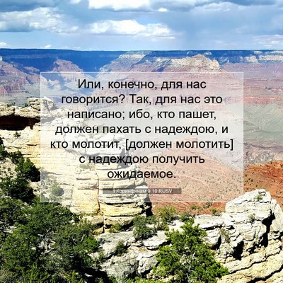 Picture 07 - 1 Коринфянам 9:10 RUSV - Или, конечно, для нас - Bible Verse Picture