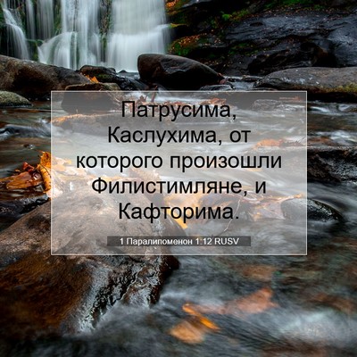 Picture 07 - 1 Паралипоменон 1:12 RUSV - Патрусима, Каслухима, от - Bible Verse Picture