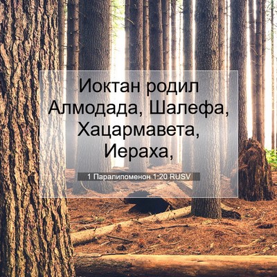 Picture 07 - 1 Паралипоменон 1:20 RUSV - Иоктан родил Алмодада, - Bible Verse Picture