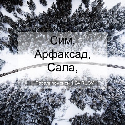 Picture 07 - 1 Паралипоменон 1:24 RUSV - Сим, Арфаксад, - Bible Verse Picture