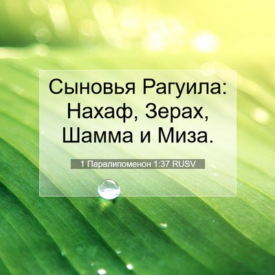 Picture 07 - 1 Паралипоменон 1:37 RUSV - Сыновья Рагуила: Нахаф, - Bible Verse Picture