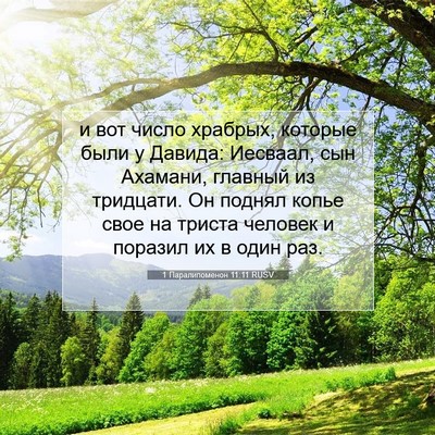 Picture 07 - 1 Паралипоменон 11:11 RUSV - и вот число храбрых, - Bible Verse Picture