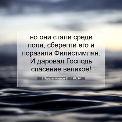 Picture 07 - 1 Паралипоменон 11:14 RUSV - но они стали среди поля, - Bible Verse Picture
