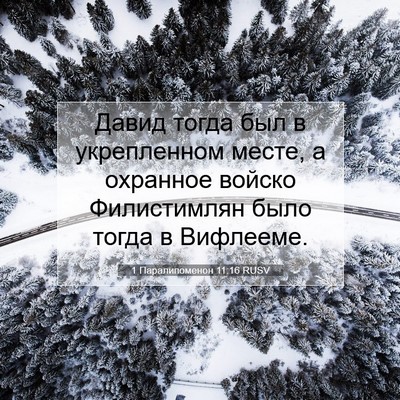 Picture 07 - 1 Паралипоменон 11:16 RUSV - Давид тогда был в - Bible Verse Picture