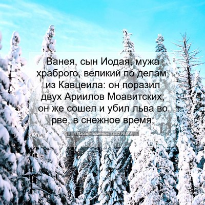 Picture 07 - 1 Паралипоменон 11:22 RUSV - Ванея, сын Иодая, мужа - Bible Verse Picture