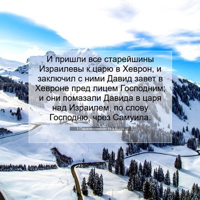 Picture 07 - 1 Паралипоменон 11:3 RUSV - И пришли все старейшины - Bible Verse Picture