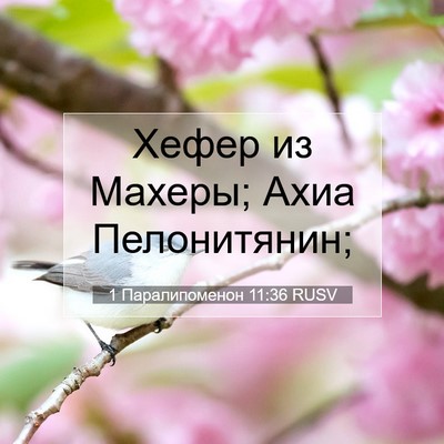 Picture 07 - 1 Паралипоменон 11:36 RUSV - Хефер из Махеры; Ахиа - Bible Verse Picture