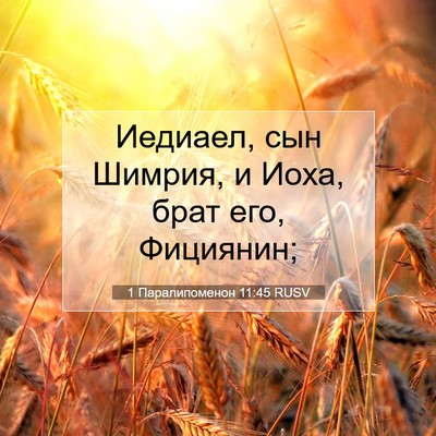 Picture 07 - 1 Паралипоменон 11:45 RUSV - Иедиаел, сын Шимрия, и Иоха, - Bible Verse Picture