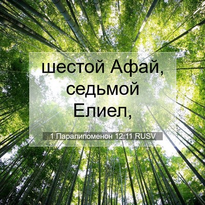 Picture 07 - 1 Паралипоменон 12:11 RUSV - шестой Афай, седьмой - Bible Verse Picture