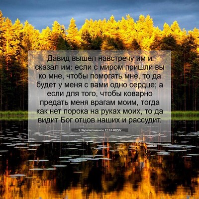 Picture 07 - 1 Паралипоменон 12:17 RUSV - Давид вышел навстречу им и - Bible Verse Picture