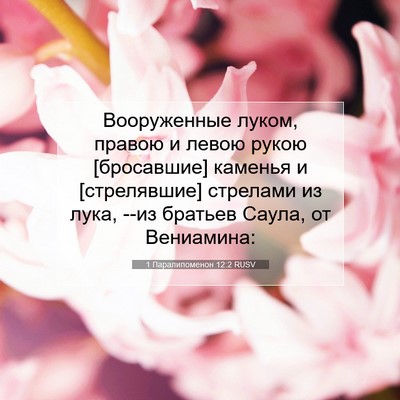 Picture 07 - 1 Паралипоменон 12:2 RUSV - Вооруженные луком, правою - Bible Verse Picture