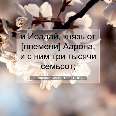 Picture 07 - 1 Паралипоменон 12:27 RUSV - и Иоддай, князь от [племени] - Bible Verse Picture