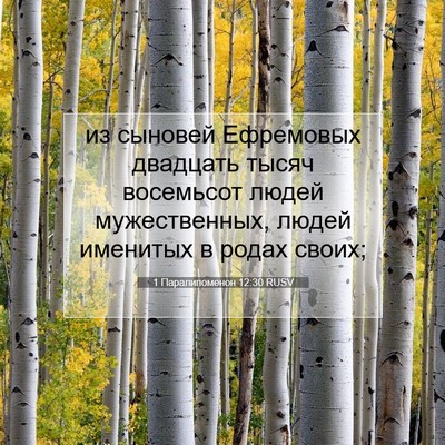 Picture 07 - 1 Паралипоменон 12:30 RUSV - из сыновей Ефремовых - Bible Verse Picture