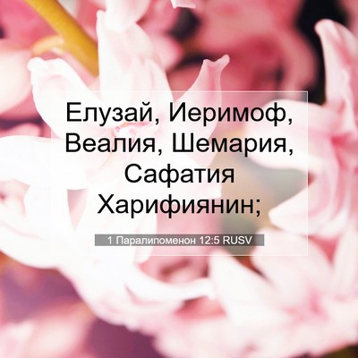 Picture 07 - 1 Паралипоменон 12:5 RUSV - Елузай, Иеримоф, Веалия, - Bible Verse Picture