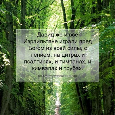 Picture 07 - 1 Паралипоменон 13:8 RUSV - Давид же и все Израильтяне - Bible Verse Picture