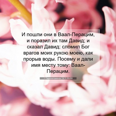Picture 07 - 1 Паралипоменон 14:11 RUSV - И пошли они в Ваал-Перацим, - Bible Verse Picture