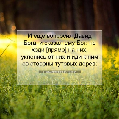 Picture 07 - 1 Паралипоменон 14:14 RUSV - И еще вопросил Давид Бога, - Bible Verse Picture