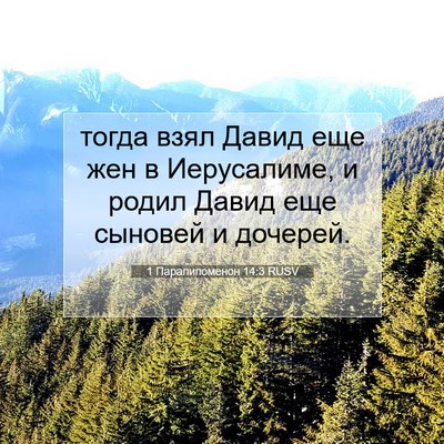 Picture 07 - 1 Паралипоменон 14:3 RUSV - тогда взял Давид еще жен в - Bible Verse Picture